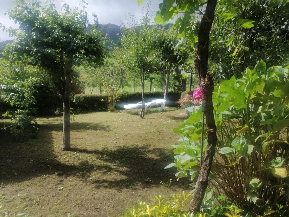 Apartamentos Casa Rural La Quintana Inguanzo Arenas De Cabrales Ngoại thất bức ảnh